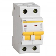 Автоматический выключатель ВА47-29 2Р 25А 4,5кА характеристика В ИЭК (автомат)